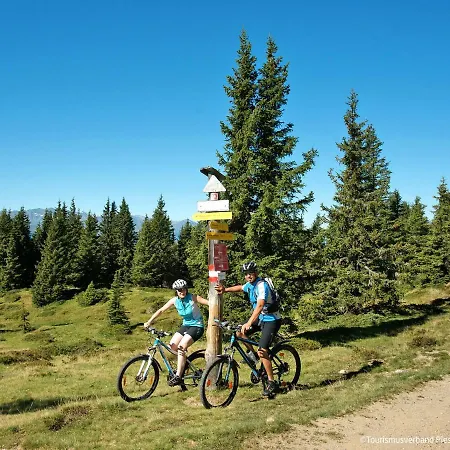 Alpin By Interhome *